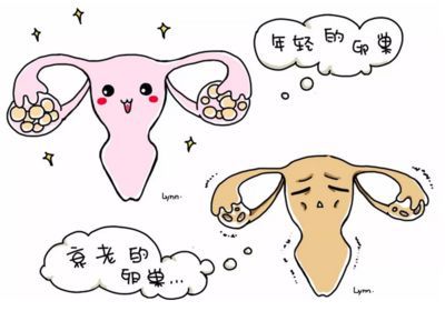 新生儿大鼻子
